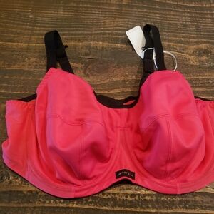Elomi Women's Energise Underwire Sports Bra Bright Pink Size 42DD NWT